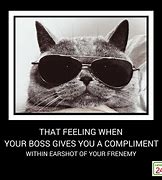 Image result for Boss Cat Menes