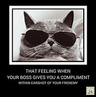 Image result for Boss Cat Meme