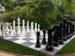 Image result for Chess From a Garden Rock