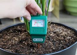 Image result for Prickly Cactus Soil Meter Moisture