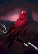 Image result for Raven in Red Illustration