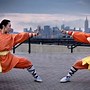 Image result for +Kung Fu Styles to Protect Our Selves