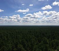 Image result for Apple Pie Hill Fire Tower Tabernacle NJ