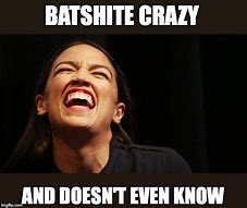 Image result for When She Is Batshit Crazy Meme
