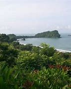 Image result for Tropical Té Costa Rica
