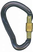 Image result for Fall Protection Carabiners