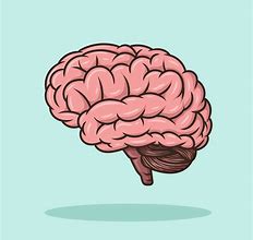 Image result for Cartoon Brain Learning