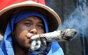 Image result for Indonesian Tobacco