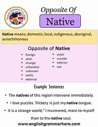 Image result for Native Meaning