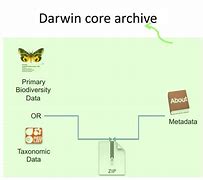 Image result for Darwin Core