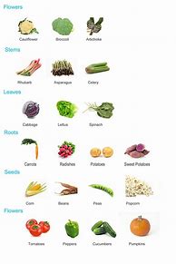 Image result for Food From Plants Chart
