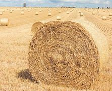 Image result for bale Hay