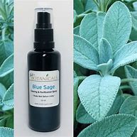 Image result for Sage Spray for Air Purifying