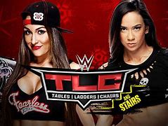 Image result for AJ Lee and Nikki Bella Friends