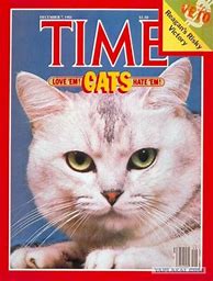 Image result for Worst Magazine Covers