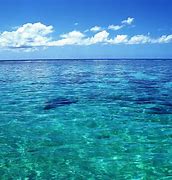 Image result for Clear Ocean Water