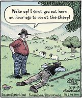 Image result for Funny and Clean Jokes for Adults