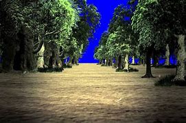 Image result for Forest Green Screen