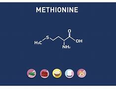 Image result for methionine
