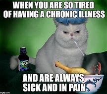 Image result for Sick Kitty Meme