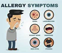 Image result for Nose Allergy