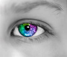 Image result for Eye Color