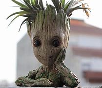 Image result for Yo Soy Groot