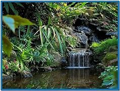 Image result for Living Waterfalls Screensaver