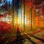 Image result for Pretty PC Wallpapers