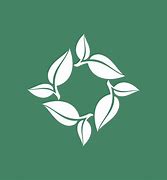 Image result for Nature Big Logo