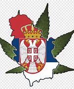 Image result for Serbian Flag Flowers