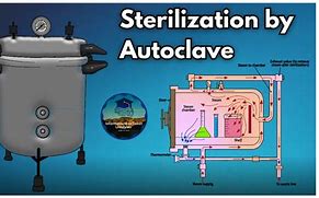 Image result for Laboratory Autoclave Sterilizer
