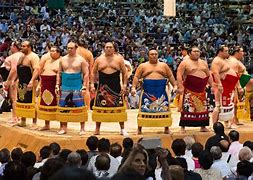 Image result for Sumo Wrestling Images