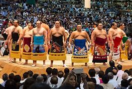 Image result for Sumo Pictures