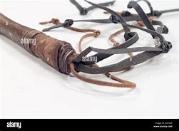 Image result for Roman Cat of Nine Tails Whip