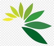 Image result for Sharp Leaf Logo