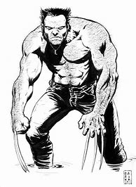 Image result for Wolverine Comic Book Art