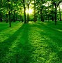 Image result for Light Green Nature Colors