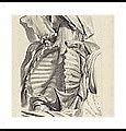 Image result for Famous Anatomy Paintings