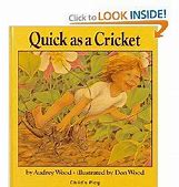 Image result for Cricket Flip Books