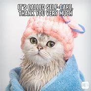 Image result for Super Funny Clean Cat Memes