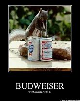 Image result for Budweiser Jokes