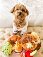 Image result for Christmas Dog Toys