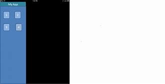 Image result for iPhone 13 Blank Screen