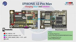 Image result for iPhone 11 Diagram of Parts and Names