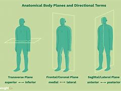 Image result for Vertical and Horizontal Direction
