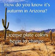 Image result for Fall in Arizona Meme