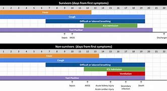 Image result for Covid Symptoms Timeline