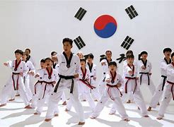 Image result for South Korean Karate