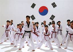 Image result for Traditional Korean Martial Arts Clothing